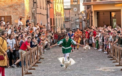 Palio del Daino