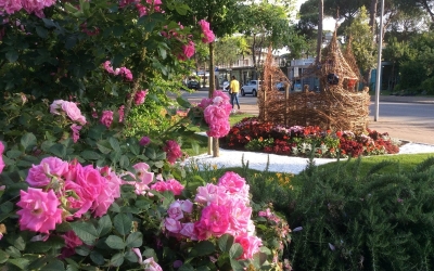 Cervia città fiorita