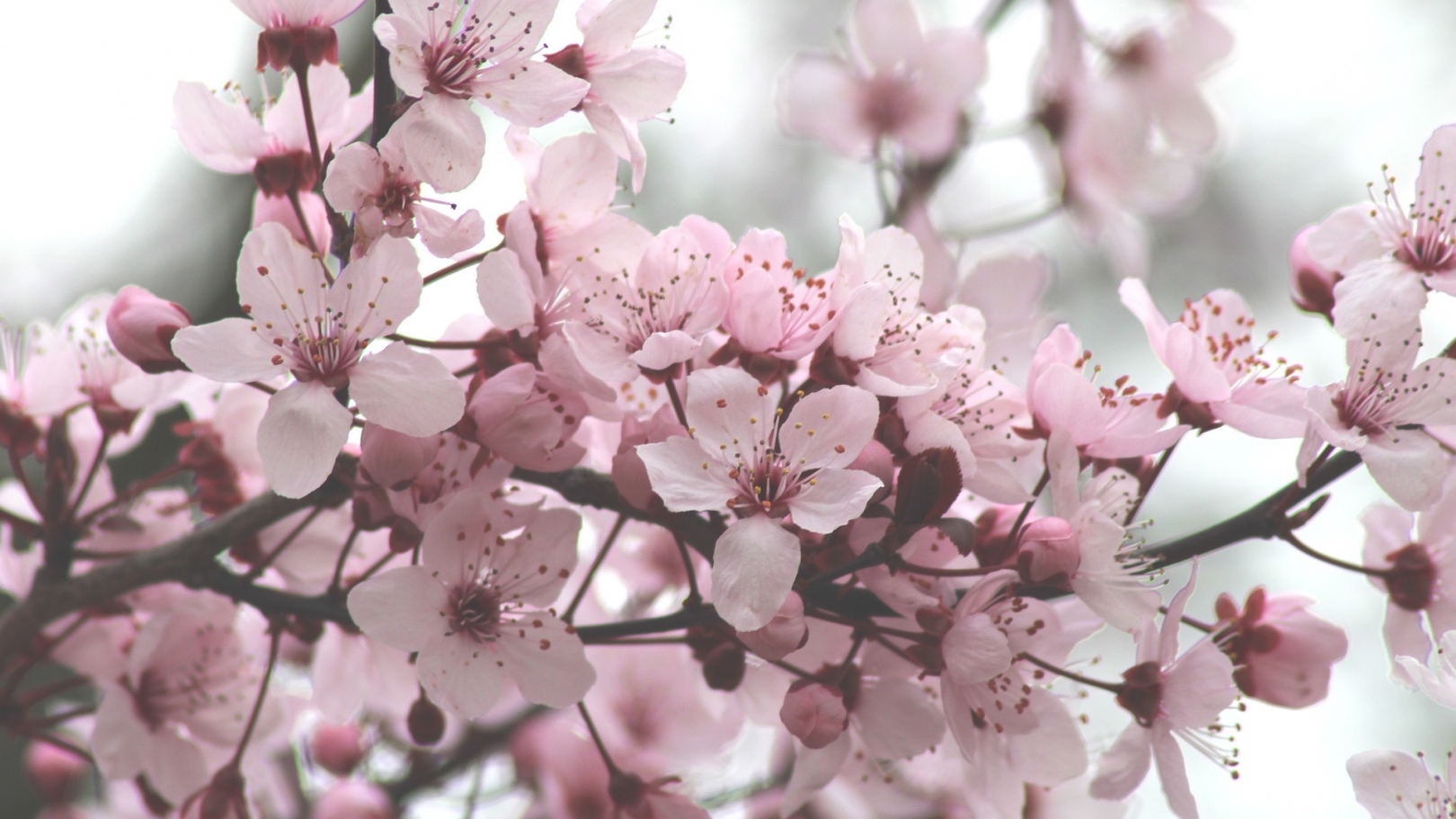 Offerta Pasqua e Ponti di Primavera 